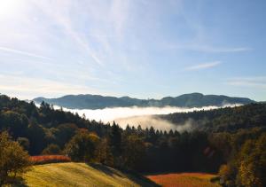 Loodusmaastik of the bed and breakfast lähedal