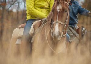 uma pessoa a montar um cavalo num campo em Explora en Torres del Paine - All Inclusive em Torres del Paine