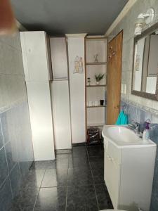 La salle de bains est pourvue d'un lavabo, de toilettes et d'un miroir. dans l'établissement GAVIMAR, à Ushuaia