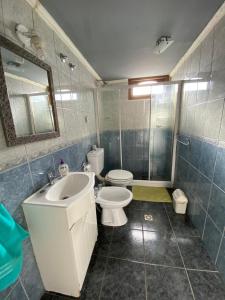 La salle de bains est pourvue d'un lavabo, de toilettes et d'un miroir. dans l'établissement GAVIMAR, à Ushuaia