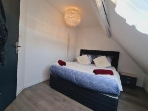 a bedroom with a bed with pillows and a chandelier at studio cosy in Vieux-Charmont