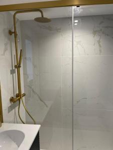 a shower with a glass door in a bathroom at Apartamento Tres Banderas in Estepona