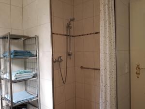 een badkamer met een douche en een douchegordijn bij Villa Maja in Markdorf