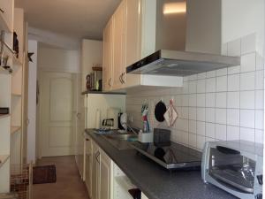 een keuken met een wastafel en een fornuis bij Villa Maja in Markdorf