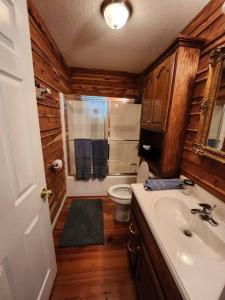 a bathroom with a toilet and a sink and a shower at 8. Beautiful secluded creek front lodge in Guntersville