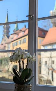 a vase with white flowers sitting in a window at Hotel Martin am Dom in Bamberg