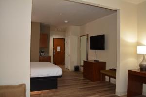um quarto de hotel com uma cama e uma televisão de ecrã plano em Wingate by Wyndham College Station TX em College Station