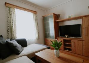 een woonkamer met een bank en een tv bij Mühlbauerhof in Großklein