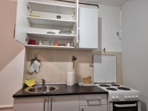 eine kleine Küche mit einer Spüle und einem Herd in der Unterkunft Departure Apartment in Sarajevo