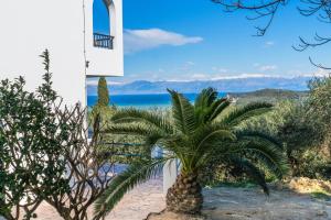 a palm tree in front of a clock tower at Villa Ocean Breeze in Avliótai