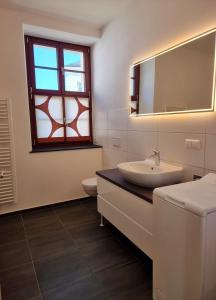 a bathroom with a sink and a mirror and a toilet at Ferienwohnung Rio in Schneeberg