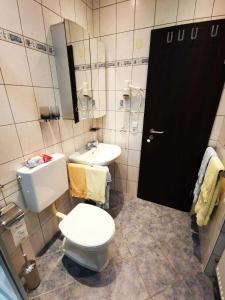 ein Bad mit einem WC und einem Waschbecken in der Unterkunft Ferienhaus Clarissa in Allenbach