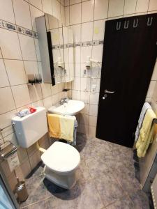 a bathroom with a toilet and a sink at Ferienhaus Clarissa in Allenbach