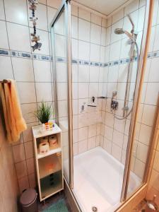 uma casa de banho com um chuveiro e uma banheira em Ferienhaus Clarissa em Allenbach