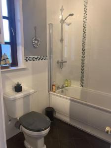 a bathroom with a toilet and a shower and a tub at The Lighthouse Loft in Whitehead