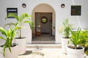 un couloir avec des plantes en pot devant une porte dans l'établissement VillaFour@Tsai-Tsai, à Vilanculos