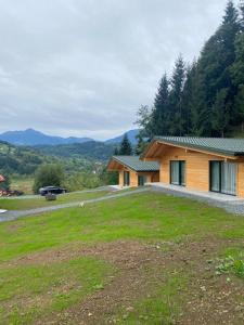 a house with a grass yard next to a building at Cabanele Olena in Borsa