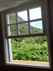 een raam met uitzicht op een weelderig groen veld bij Quinta do Girassol - AL 