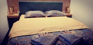 A bed or beds in a room at Apartman Lenka Zlatar