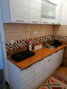 A kitchen or kitchenette at Apartman Lenka Zlatar