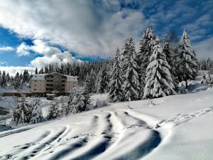 Apartman Lenka Zlatar during the winter