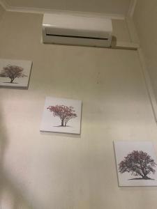 Fotografie z fotogalerie ubytování A Pousada Guesthouse v destinaci Nelspruit