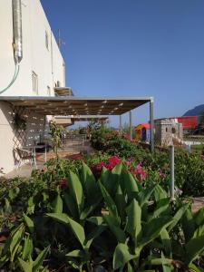 a garden with flowers and a building at Savvas Studios in Kefalos