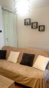 a couch with two pillows on it in a living room at Apartmán Bambuľka in Slovenská ľupča +8 photos