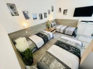 Zimmer mit 3 Betten und einem Flachbild-TV in der Unterkunft 2 Room Galerie Einliegerwohnung in Rheinstetten, Messe Nähe, Rollstuhlfahrer geeignet in Rheinstetten