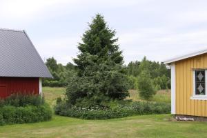 Zahrada ubytování ELGGÅRDEN + 12 fotografií