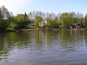 Príroda v okolí farmy