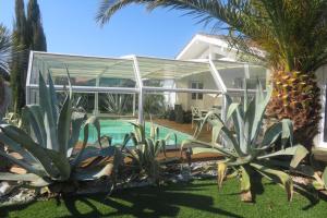 a swimming pool in front of a house with palm trees at Villa Baïne 8p seignosse in Seignosse