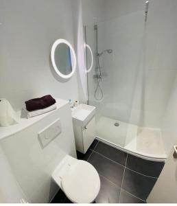 y baño blanco con aseo y ducha. en Ravissant appartement Louisa, en Bruselas