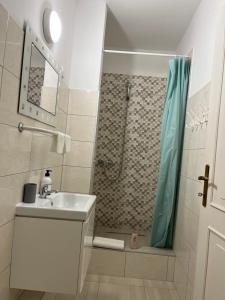 ein Bad mit einem Waschbecken und einer Dusche in der Unterkunft Jager Guesthouse in Sopron