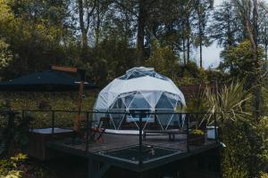 Giardino di Domus Glamping Guatapé