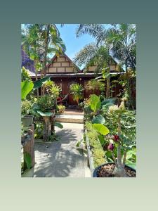 einen Garten mit Pflanzen und Bäumen und ein Gebäude in der Unterkunft P P Garden Home Bungalow in Ko Phi Phi