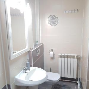 y baño con lavabo, aseo y espejo. en Apartament Ana, en Topliţa