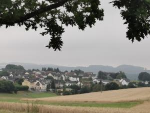 uma vista para uma cidade com um campo e casas em Michas Lahn Ferienwohnung 