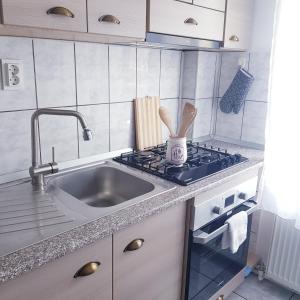 a kitchen with a sink and a stove at Apartament Ana in Topliţa