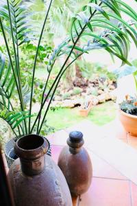 A garden outside Finca Andi, Entspannung pur!