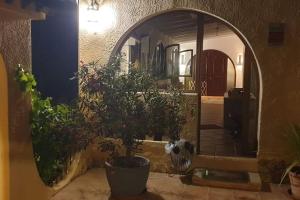 A garden outside Finca Andi, Entspannung pur!