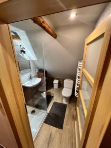 uma pequena casa de banho com WC e lavatório em Pokoje gościnne 28 w skosie em Zawadka
