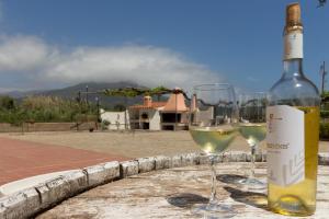 deux verres de vin blanc assis sur une table dans l'établissement 1 - Villa Is Orrosas - Apartments 1 - Sa Crai Apartments Sardinian Experience, à Lotzorai
