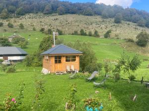 een kleine houten hut in een veld met twee stoelen bij Cabana Șirnea in Şirnea