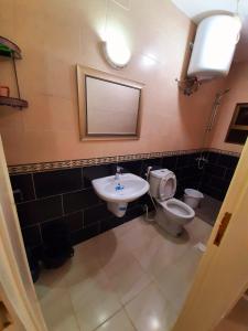 a bathroom with a sink and a toilet at Miami Hotel Apartment’s in Aqaba