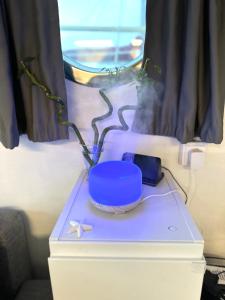 阿尔盖罗Houseboat Seabreeze的相册照片