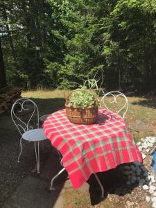Κήπος έξω από το un ptit chalet