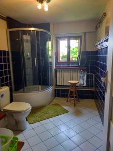 La salle de bains est pourvue d'une douche et de toilettes. dans l'établissement cicha przystan, à Połczyn-Zdrój
