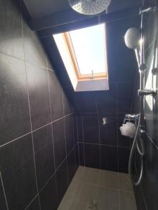 a blue bathroom with a shower with a window at Duplex Tressange in Tressange