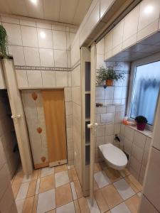 een kleine badkamer met een toilet en een raam bij Ferienwohnung Haus Luzia in Düngenheim